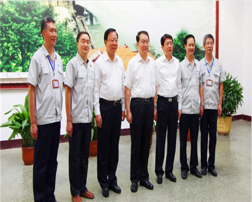 2011年7月，中共中央政治局常委李長(zhǎng)春來(lái)公司視察.png
